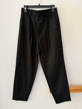 Everlane Classic Black Women’s Pleated Dress Pants